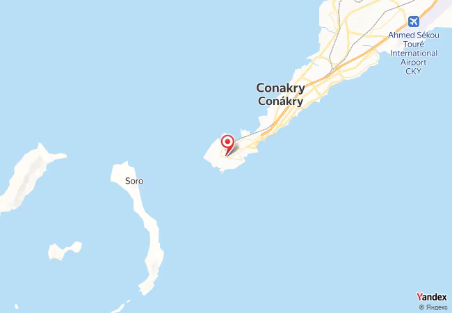 Qibla Map for Conakry