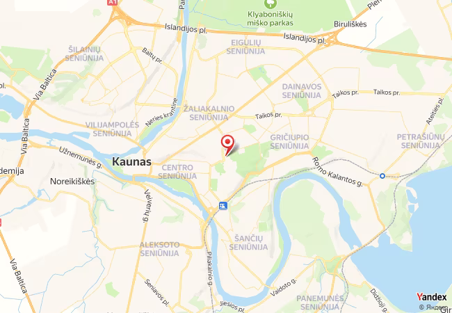 Qibla Map for Kaunas